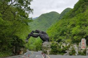 神农架有哪些景点-近期景区优惠活动