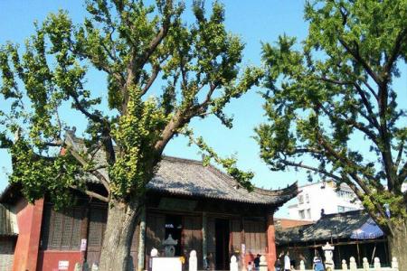 2022安徽寿县孔庙旅游攻略 - 交通 - 开放时间