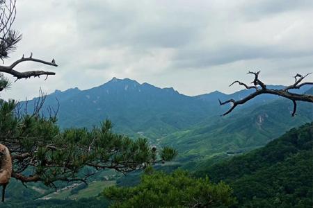 2023清凉山风景区旅游攻略 - 门票 - 交通 - 地址 - 天气 - 电话 - 简介 - 开放时间