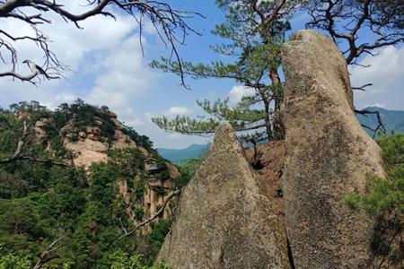 2023清凉山风景区旅游攻略 - 门票 - 交通 - 地址 - 天气 - 电话 - 简介 - 开放时间