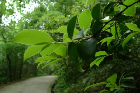 2023石峰公园旅游攻略 - 门票价格 - 开放时间 - 景点介绍 - 简介 - 交通 - 地址 - 天气
