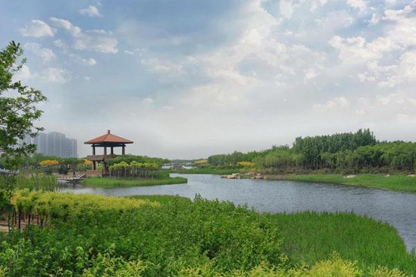 2022寿县丰华公园旅游攻略 - 门票价格 - 开放时间
