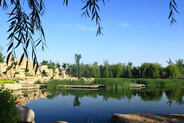 2022寿县丰华公园旅游攻略 - 门票价格 - 开放时间