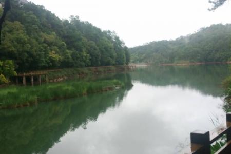 梅子湖公园旅游攻略-门票价格-景点信息