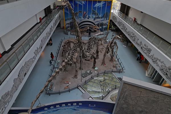 中国地质大学逸夫博物馆好玩吗 中国地质大学逸夫博物馆在哪里
