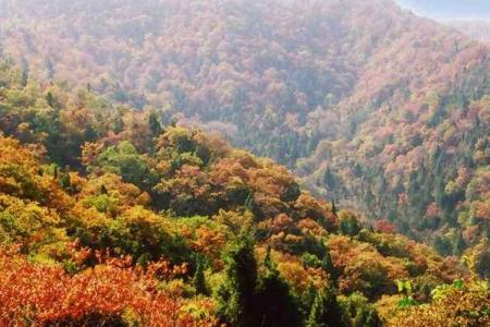 2022云梦山旅游攻略 - 门票 - 交通 - 天气 - 景点介绍