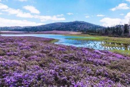 2022千湖山旅游攻略 - 门票价格