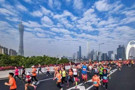 2020广州马拉松赛报名抽签结果查询方式
