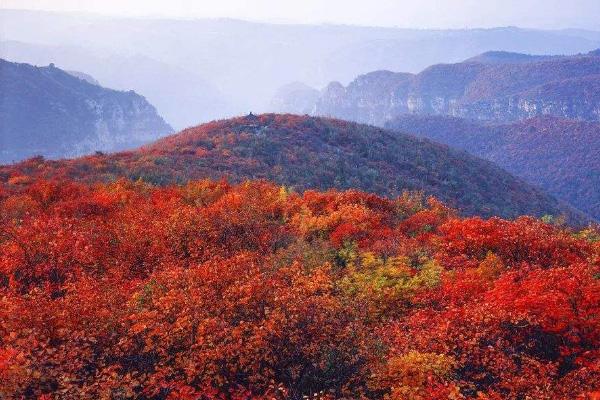 青天河紅葉最佳觀賞時間 2020青天河紅葉觀賞優惠政策