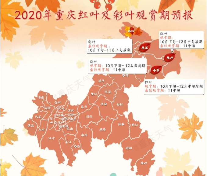 重庆红叶景区有哪些地方 2020重庆红叶观赏预期图