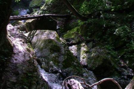 2022五龙洞国家森林公园旅游攻略 - 门票 - 交通 - 天气 - 景点介绍