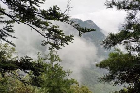 2022五龙洞国家森林公园旅游攻略 - 门票 - 交通 - 天气 - 景点介绍