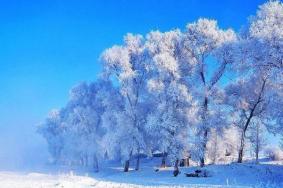 国内哪里的雪景好看 国内雪景最美的地方