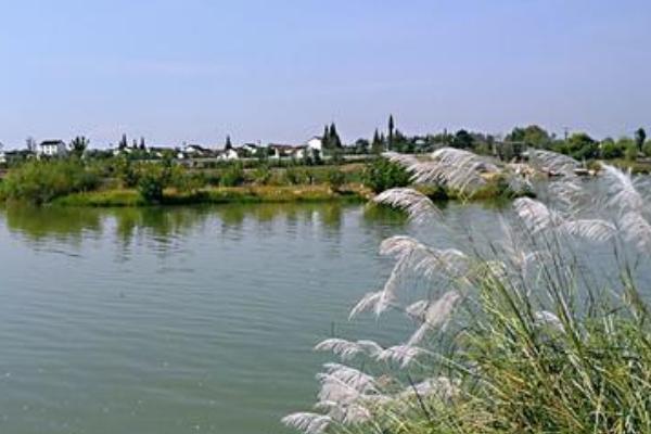 天漢濕地公園旅游攻略-門票價格-景點信息