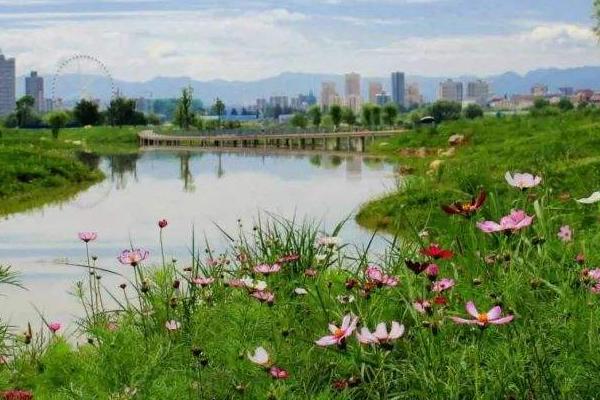 天漢濕地公園旅游攻略-門票價格-景點信息