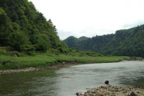 2024青木川自然保护区旅游攻略-门票价格-景点信息