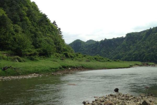 2023青木川自然保护区旅游攻略 - 门票 - 交通 - 天气 - 景点介绍