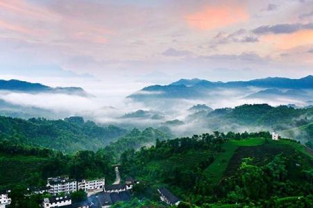 2023南山茶海址旅游攻略 - 开放时间 - 门票价格 - 地址 - 交通 - 天气 - 电话 - 简介