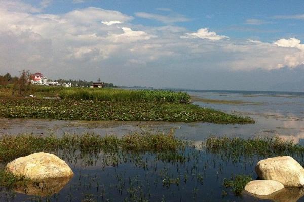 2022洱海月湿地公园旅游攻略 - 门票价格
