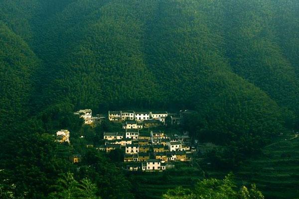 2023黄山木坑竹海景区旅游攻略 - 门票价格 - 交通