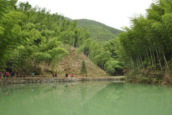 2023黄山木坑竹海景区旅游攻略 - 门票价格 - 交通