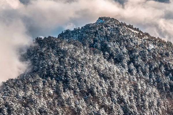 神农架下雪了吗2022 神农架滑雪攻略