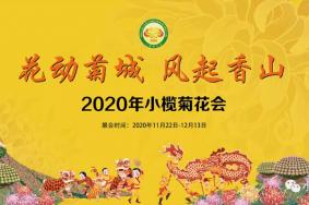 小榄菊花会2020表演活动介绍及交通管制汇总