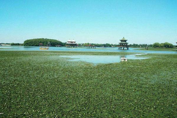 2022阜阳五里湖生态湿地公园旅游攻略 - 门票价格 - 交通指南