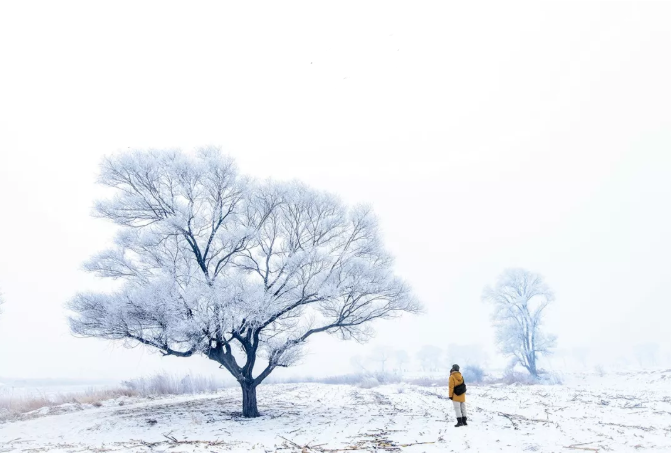 国内哪些雪景漂亮 下雪去哪里最好玩