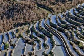 那诺梯田旅游攻略-门票价格-景点信息