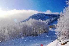 长白山国际滑雪场附近的酒店有哪些