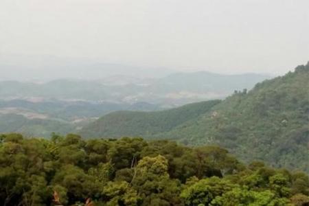 2023派阳山森林公园旅游攻略 - 门票价格 - 景点介绍 - 开放时间 - 简介 - 地址 - 交通 - 天气 - 电话