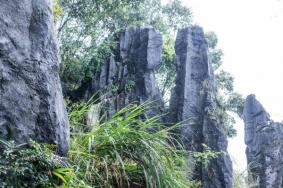 福建鳞隐石林旅游攻略-门票价格-景点信息