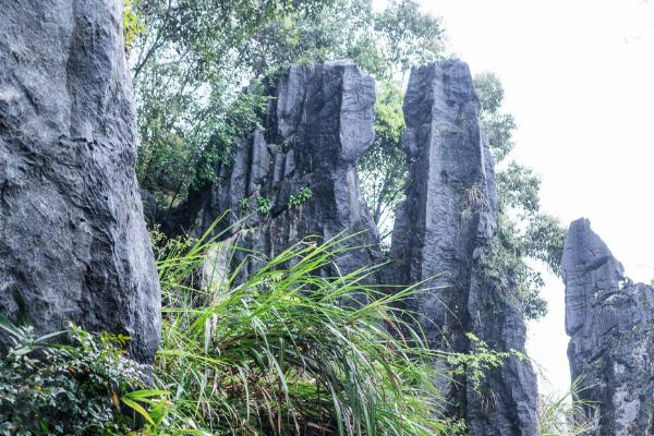 2020福建鳞隐石林旅游攻略
福建鳞隐石林门票交通天气景点