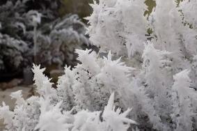 国内哪里的雪景好看 超美赏雪胜地推荐