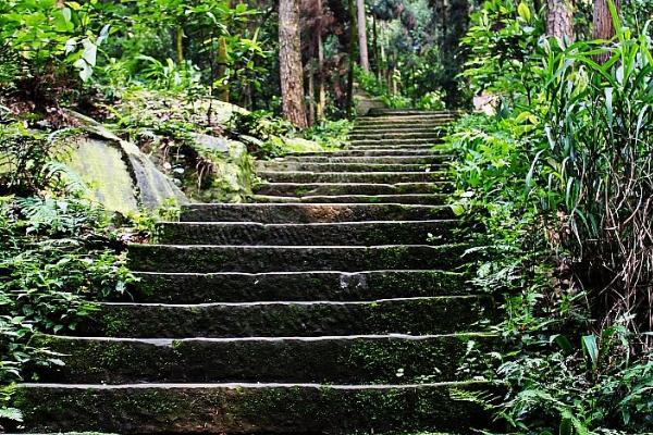 歌樂山國家森林公園好玩嗎 景點介紹及門票交通