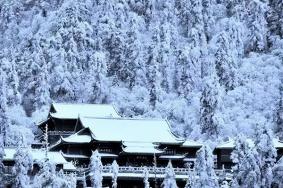 成都周边赏雪的地方 成都周边赏雪自驾游