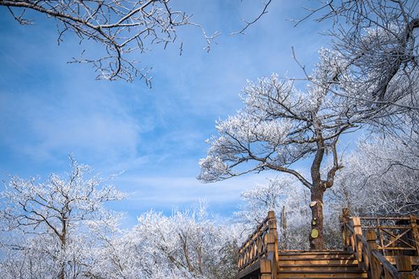 浙江有哪些滑雪場 離杭州最近的滑雪場是哪個