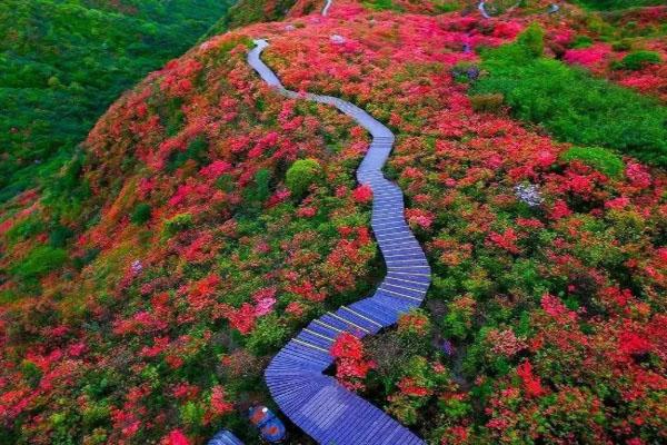 景点地址:长沙市浏阳市大围山镇