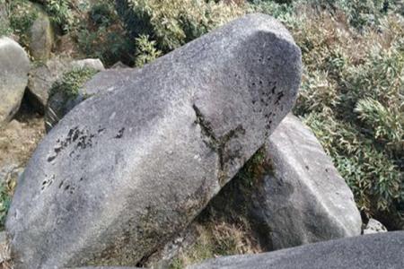 2023望君山旅游攻略 - 门票价格 - 交通指南 - 开放时间  - 简介 - 天气 - 地址 - 电话