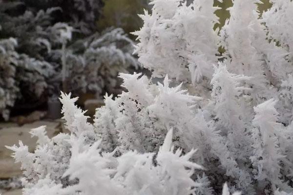 冬季賞雪的最佳城市2021 國內(nèi)雪景最美的地方在哪里