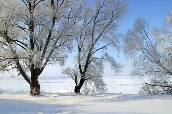 冬天如何拍出美的照片 冬天美景该怎么拍