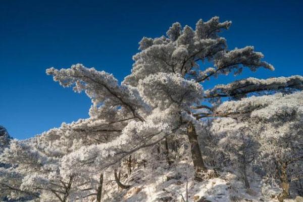 黄山冬季最佳旅游时间 冬游门票优惠政策