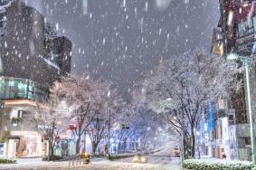 2021武汉元旦下雪吗 武汉下雪吗冬天