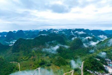 2023十万大山百鸟乐园旅游攻略 - 开放时间 - 门票价格 - 地址 - 交通 - 天气 - 电话 - 简介