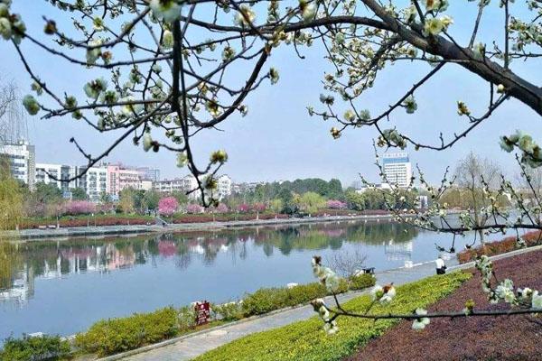 2022池州清溪河景观公园旅游攻略 - 门票 - 交通