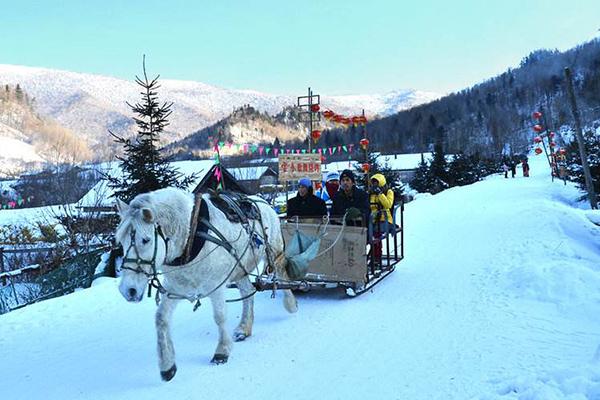 哈爾濱雪谷怎么去 哈爾濱雪谷周邊美食推薦