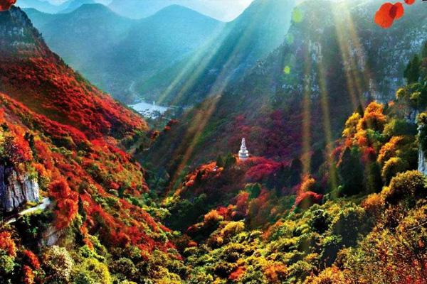 2022广州石门森林公园红叶什么时候开
