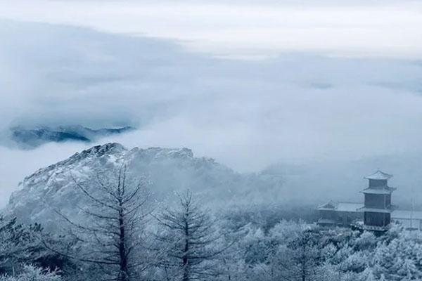 2020泰山雾凇一般在什么时间 最佳观赏期