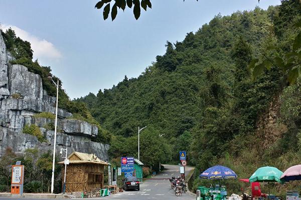 2022仰天岗国家森林公园门票 - 地址 - 旅游攻略